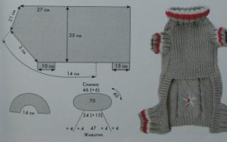 Тонкости вязания одежды и обуви для собак Одежда для собак крючком схемы и описание